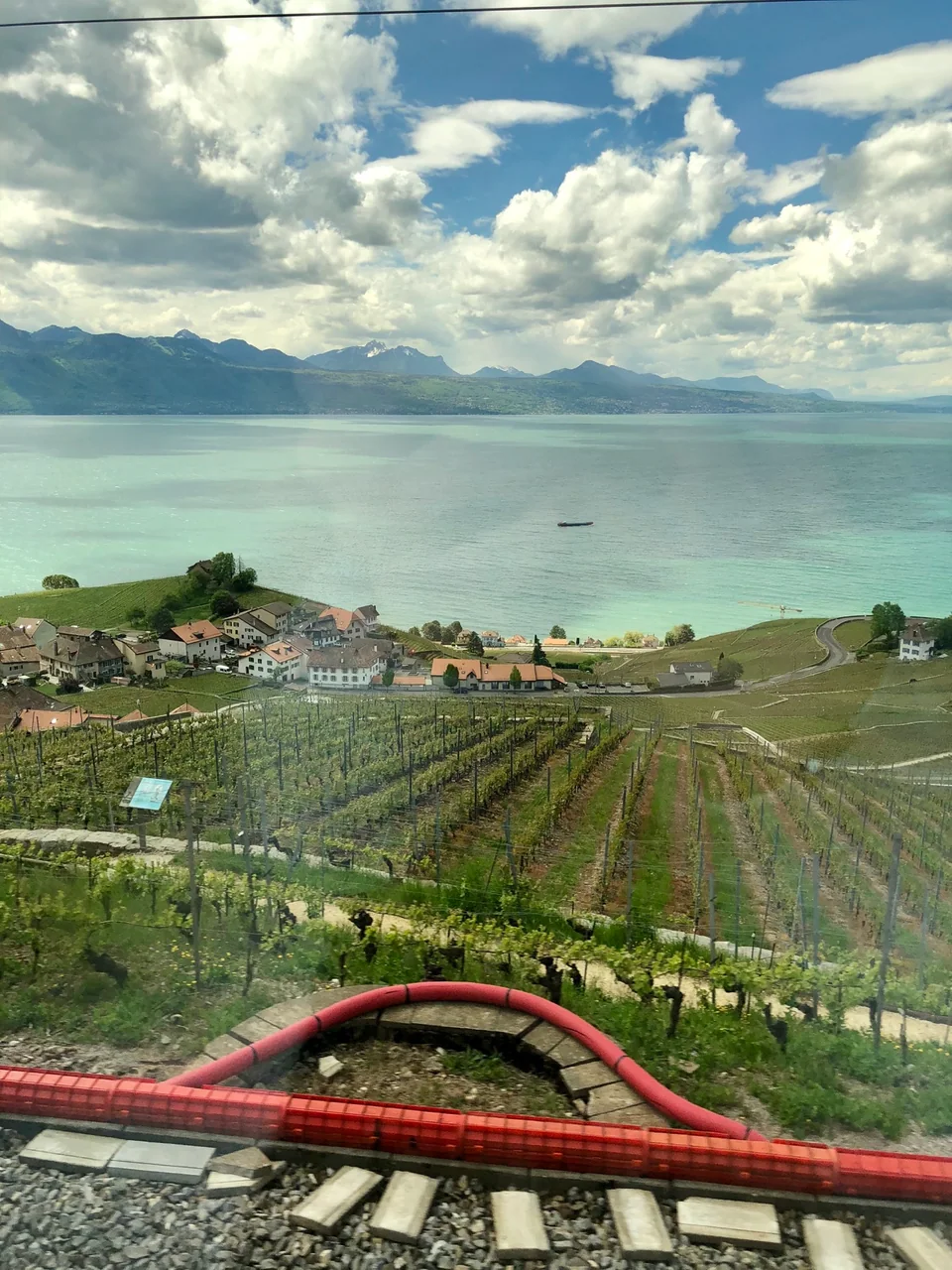 Lake Geneva and mountain peaks beyond sunlit vineyards